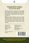 Blomkarse 'Tip Top Pink Blush'