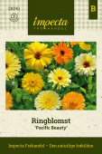 Ringblomst 'Pacific Beauty'