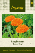 Ringblomst 'Orange King'