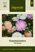 Sommerasters 'The Roses'