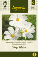 Pyntekorg ''Vega White'', Blomstrer svært rikt med luftig bladverk som likner dill.