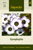 Spraglegilia