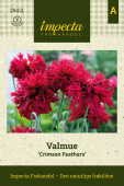 Valmue 'Crimson Feathers'