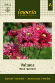 Valmue 'Rose Feathers'
