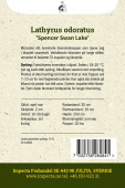 Blomsterert 'Spencer Swan Lake'