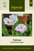 Valmue 'Bread Seed Poppy'