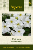 Petunia F1 'Eagle White'