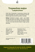 Vanlig blomkarse 'Ladybird Rose'