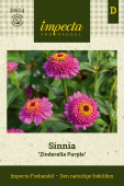 Sinnia ''Zinderella Purple'' Impecta frøpose