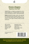 Sinnia 'Queeny Lime Red'