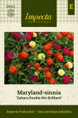 Maryland-sinnia 'Zahara Double Mix Brilliant'