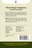 Virginialeddblom 'Crystal Peak White'
