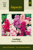 Levkøy 'Beauty Of Nice'