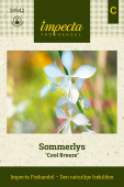 Sommerlys 'Cool Breeze'