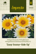 Påfuglblomst F1 'Zany Sunny-Side Up', Store, appelsingule blomster med hvite kronbladspisser. Mørkegrønt og frodig bladverk.
