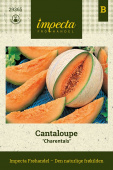 Cantaloupe 'Charentais'
