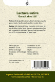 Isbergsalat 'Great Lakes 118'