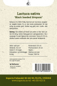 Plukksalat 'Black Seeded Simpson'