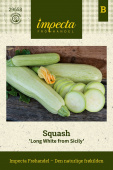 Squash 'Long White from Sicily'