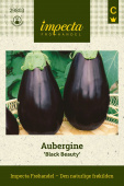 Aubergine 'Black Beauty'