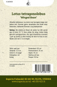 Aspargesert 'Winged Bean'