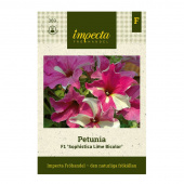 Petunia F1 'Sophistica Lime Bicolor'