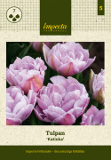Tulipan 'Katinka' 7 stk, En livlig, helt fylt tulipan med store blomster i svale toner av syrinlilla og gammelrosa.