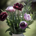 Tulipan 'Katinka' 7 stk, En livlig, helt fylt tulipan med store blomster i svale toner av syrinlilla og gammelrosa.
