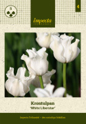 Kroneblomstrende tulipan 'White Liberstar' 5 stk, Utmerket til planting sammen med de fleste andre vårblomstrende løker
