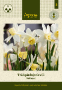 Sivnarsiss 'Sailboat' 5 stk, Danner flere blomster på hver stilk. Kan gjerne samplantes med andre vårblomstrende løkplanter.