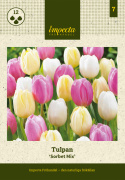 Tulipan 'Sorbet Mix' 15 stk, Svært slående når de plantes i klynger i blomsterbedet, men passer også utmerket til dyrking i potte på terrasse og balkong.