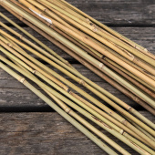 Bambuspinner 75 cm 10-pakning