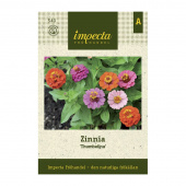 Sinnia 'Thumbelina'