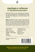 Akeleie F1 'Earlybird Purple Yellow'