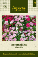 Busknellik ''Pinocchio''