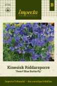 Kinaridderspore 'Dwarf Blue Butterfly'