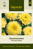 Sommerasters 'Princess Yellow'