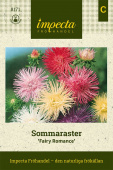 Sommerasters 'Fairy Romance'