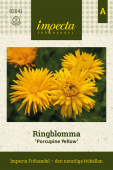 Ringblomst 'Porcupine Yellow'