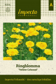 Ringblomst 'Yellow Colossal'