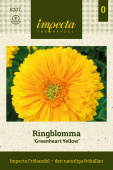 Ringblomst 'Greenheart Yellow'