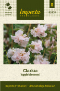 Hageklarkia 'Appleblossom', Lettdyrket og riktblomstrende i sommerbed, og utsøkt som snittblomst.