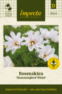 Pyntekorg ''Hummingbird White''