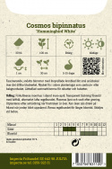 Pyntekorg ''Hummingbird White''