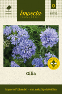 Gilia, Bedårende, lavendelblå stjerneblomster samlet i tette, runde blomsterstander på rette stilker.