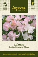 Blomsterert 'Spring Sunshine Blush', Tidligblomstrende og eksklusiv blomsterert med ekstra lange stilker, fantastisk til snitt.