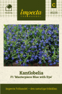 Kantlobelia F1 'Masterpiece Blue with Eye', Svært kompakte og helhetlige tuer, rikt overstilte av mørkeblå blomster med hvitt øye.