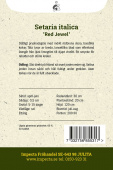Storbusthirse 'Red Jewel'
