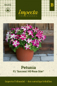 Petunia F1 'Success! HD Rose Star'