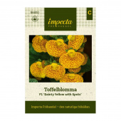 Tøffelblomst F1 'Dainty Yellow with Spots'